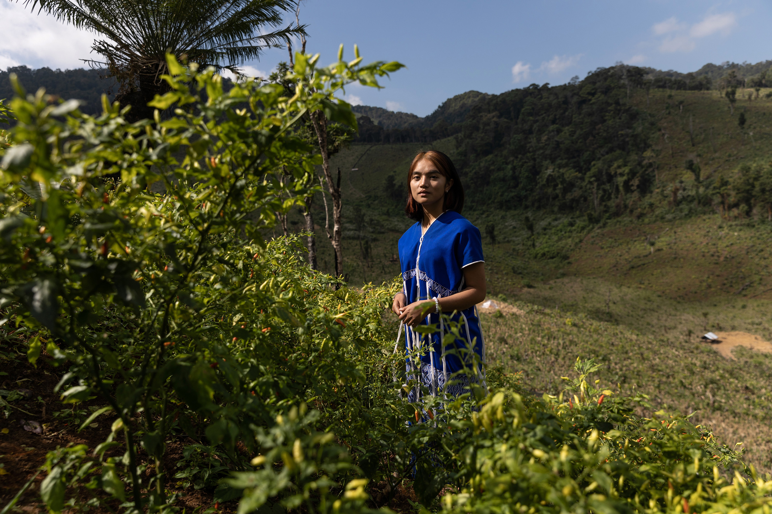 Youth leader Jindarat Rampaipanom, 20, stands in a chilli field next to her village