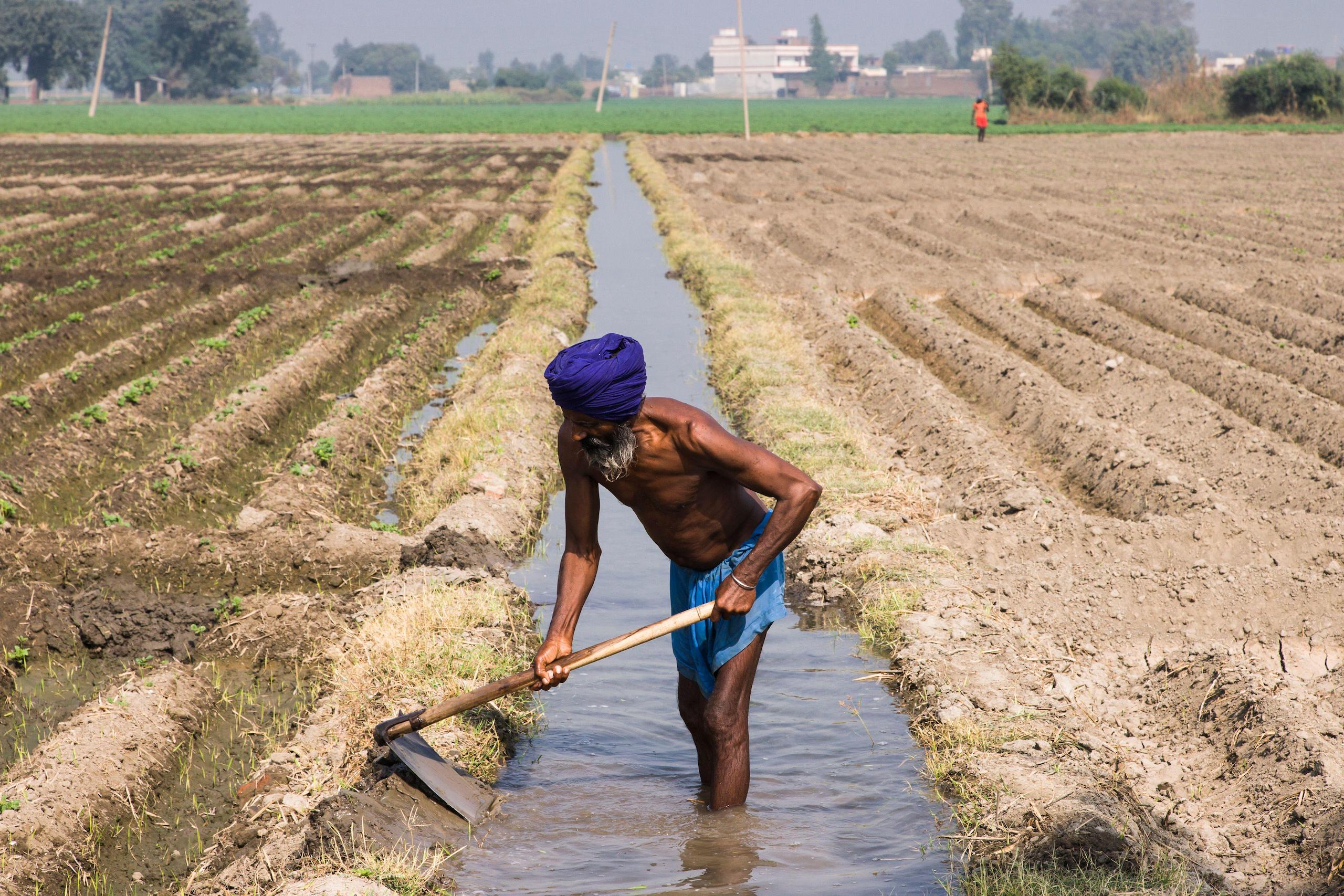 <p>A man repairs a canal that irrigates fields in Punjab, one of India’s main breadbaskets. Over the past 60 years, the area of land irrigated by canals has fallen from 58.4% to 28%; farmers increasingly rely on tubewells, which deplete groundwater reserves. (Image: Suzuki Kaku / Alamy)</p>