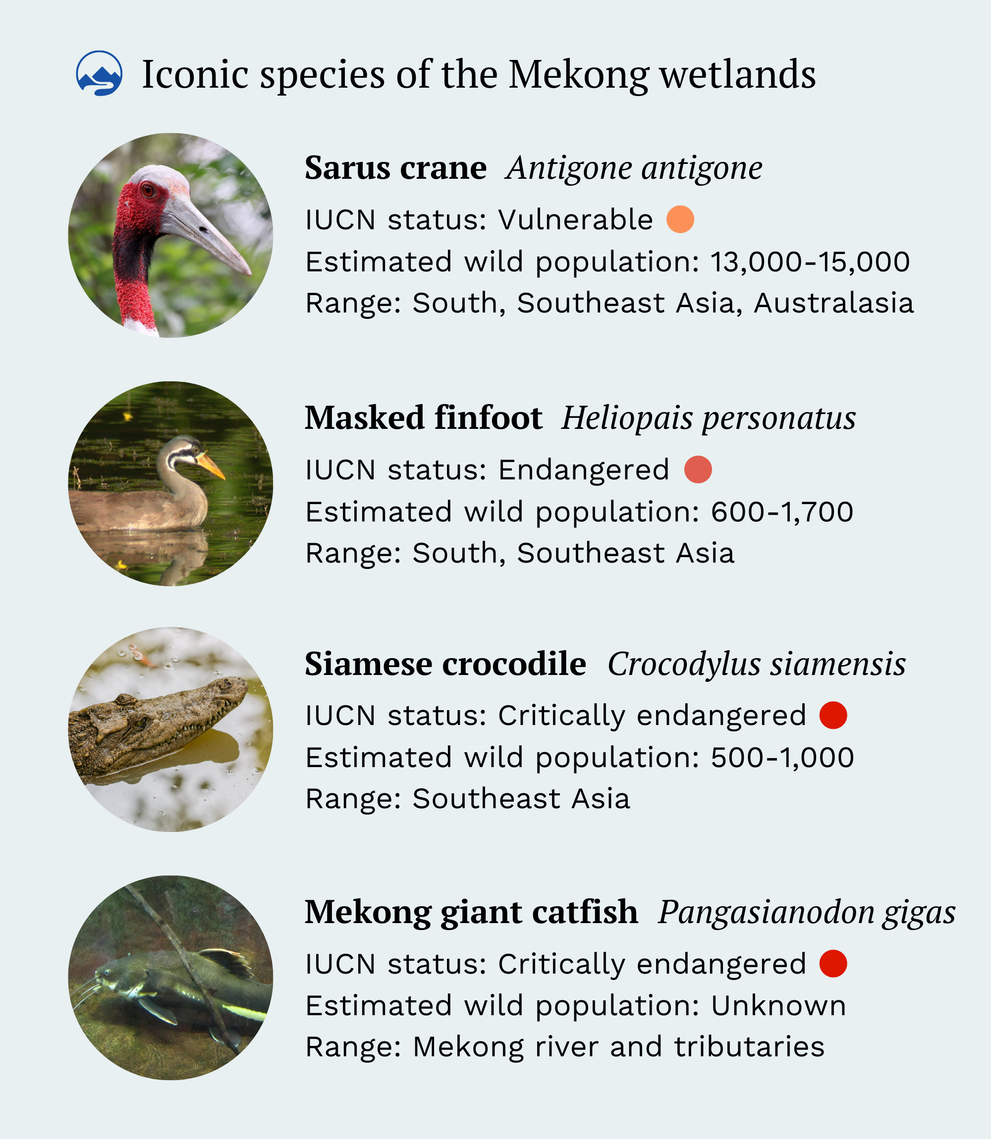 iconic species of the mekong wetlands