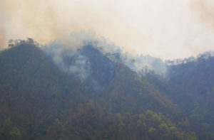 <p>Forest fires in early April 2021 in Pauri Garhwal district of Uttarakhand (Image: Cheena Kapoor)</p>