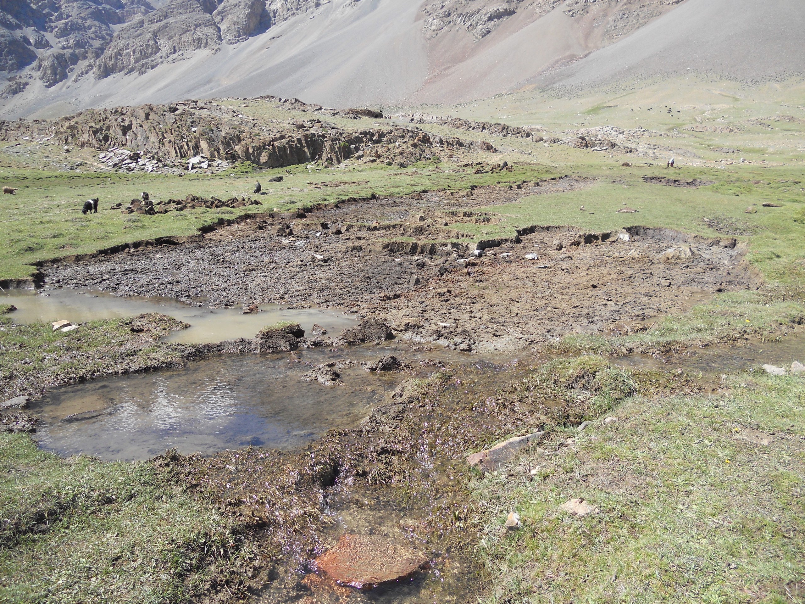 Degraded peatland in Broghil Valley, Pakistan, Zahiruddin