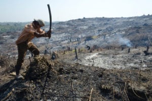 <p>A man slashes vegetation beside the road from Pathein to Mawdin Sun in Myanmar in 2012. Myanmar exported more than USD 190 million worth of timber last year, according to environmental group Forest Trends (Image: Eitan Simanor / Alamy)</p>