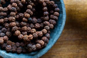 <p>Rudraksha seeds are considered sacred in Hinduism and Buddhism, which has led to a booming export market from Nepal to China as trade has expanded between the two countries (Image: Thomas Dutour / Alamy)</p>