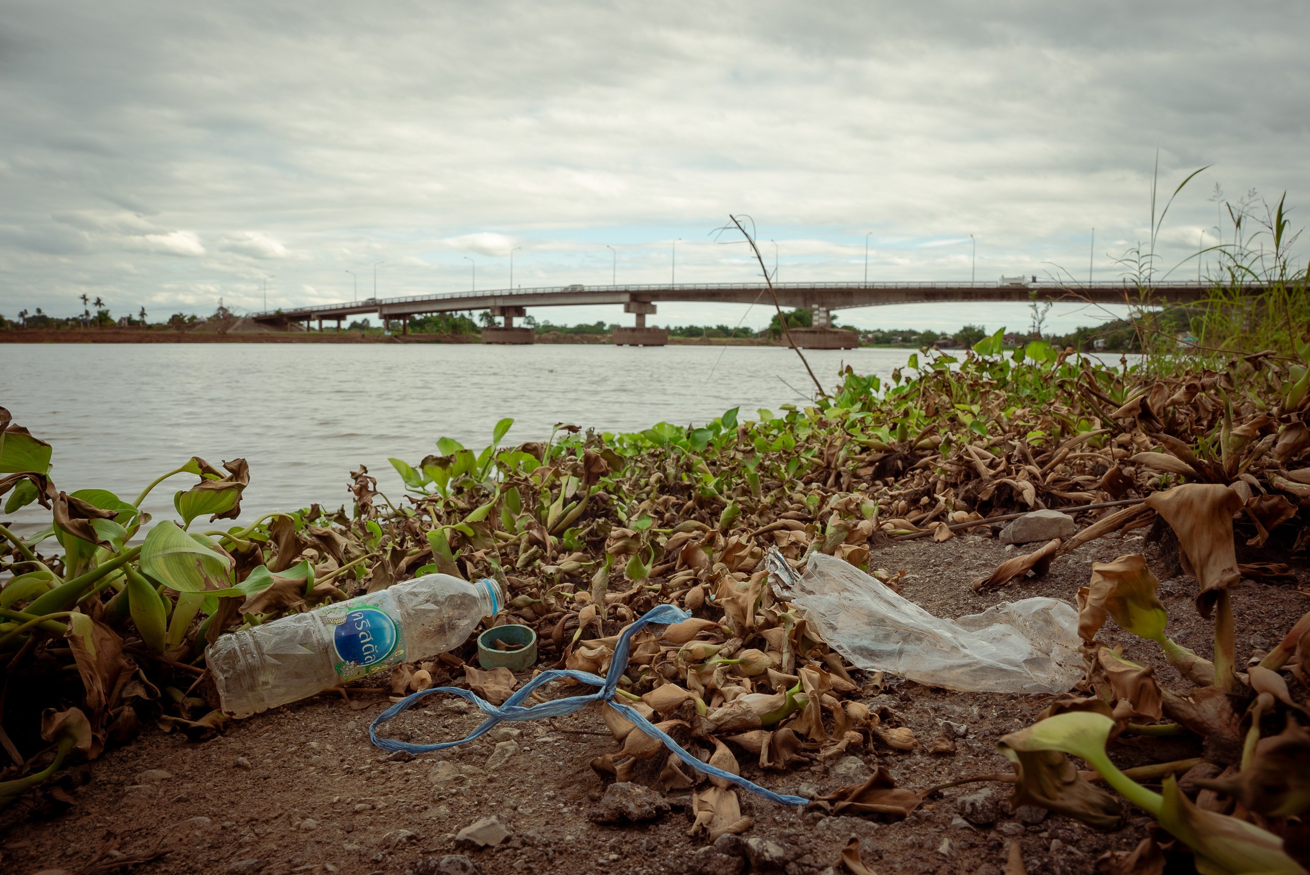 empty plastic bottle and plastic bag among plants on river bank