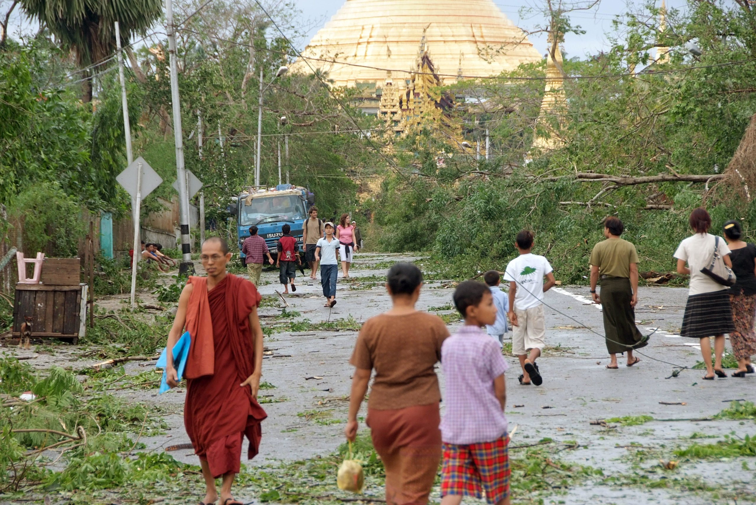 people walking on a street coated with fallen trees and other debris