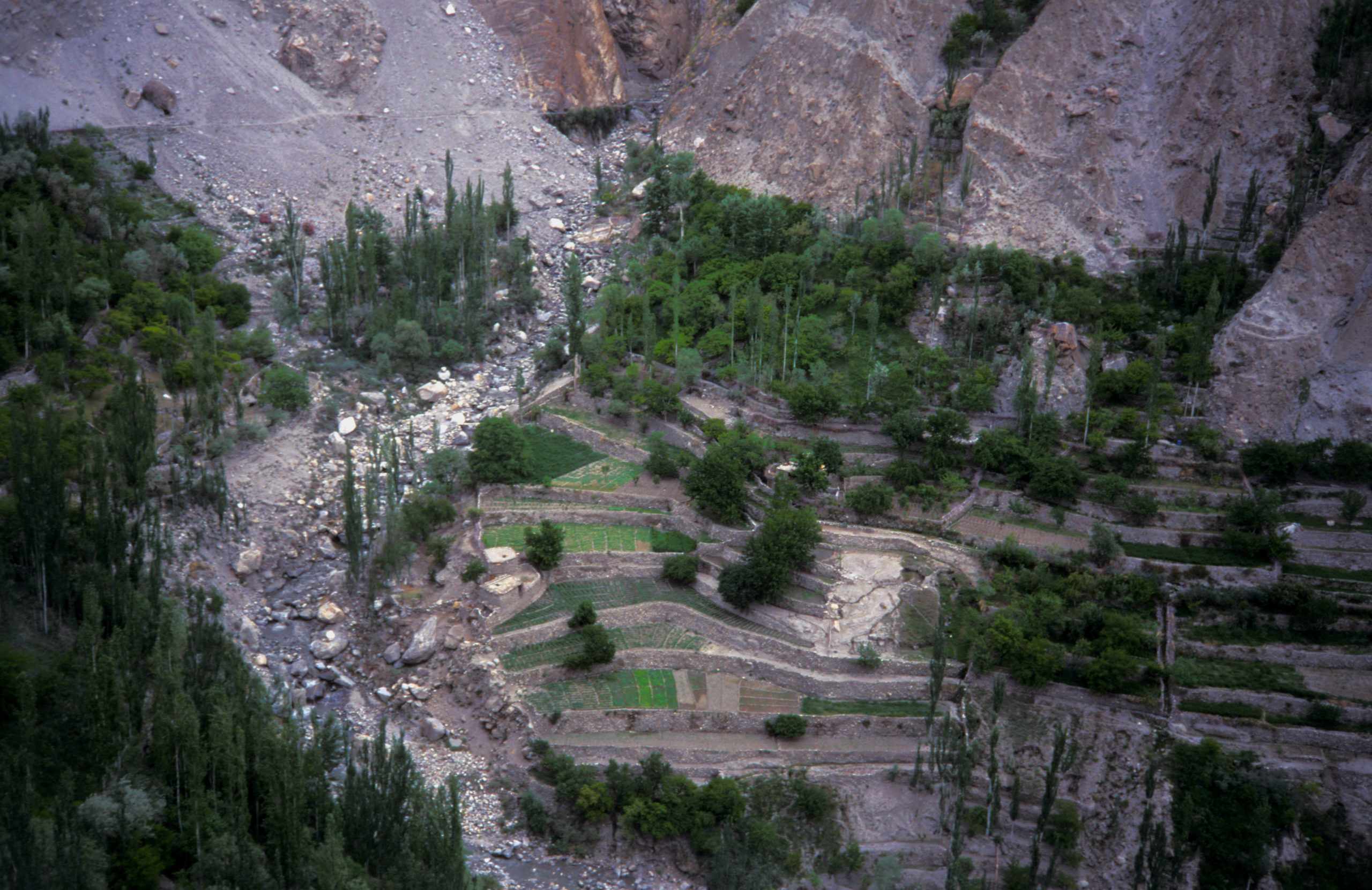 <p>Terraced fields in Hunza, Gilgit-Baltistan. Farmers say the early snowmelt this year has led to dry soil and a shortage of water for irrigation. (Image: Adrian Weston / Alamy)</p>