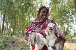 Smiling woman carrying two goats: Seema Begum with two goats. She does not have to sell early or cheap this year, because she has a place to keep them safe during the monsoon floods