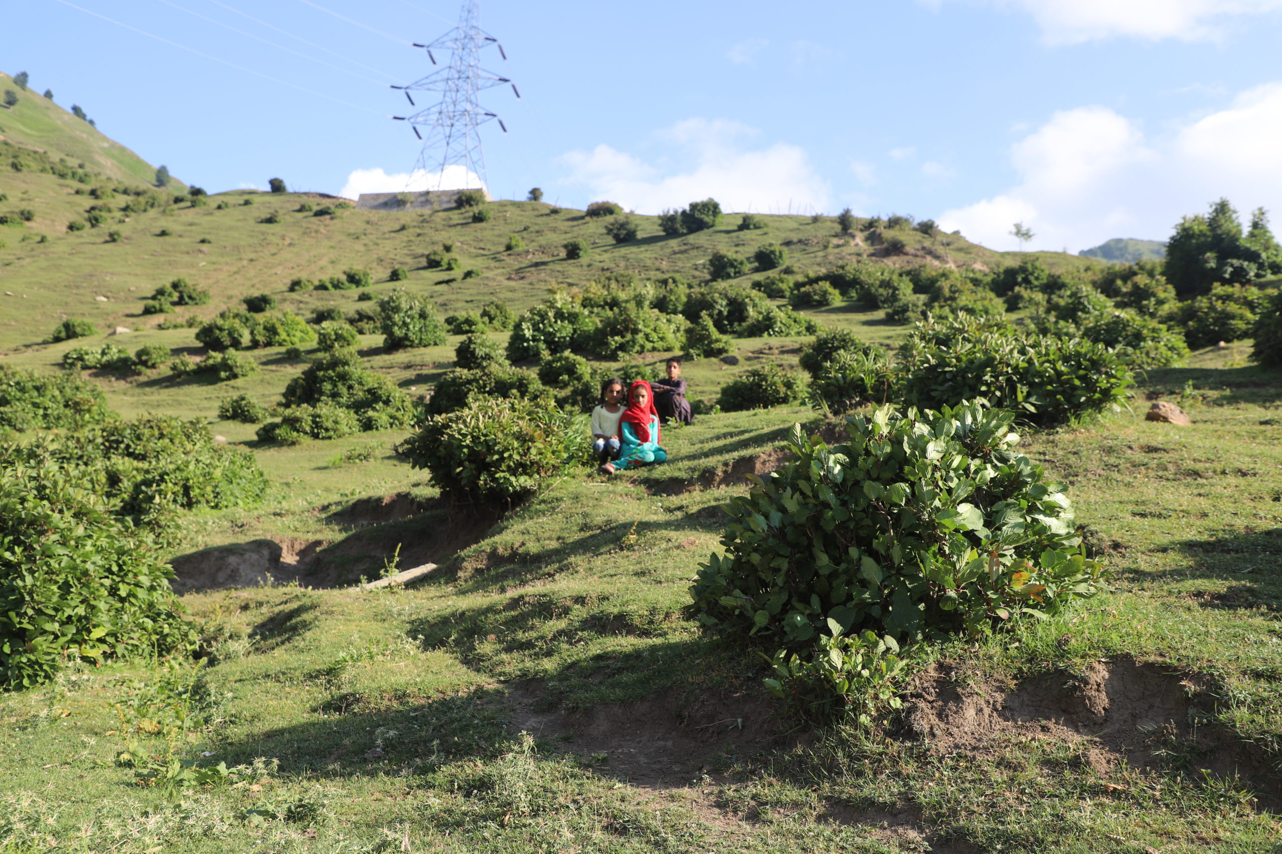 children sitting in grassy, hilly area surrounded by shrubs