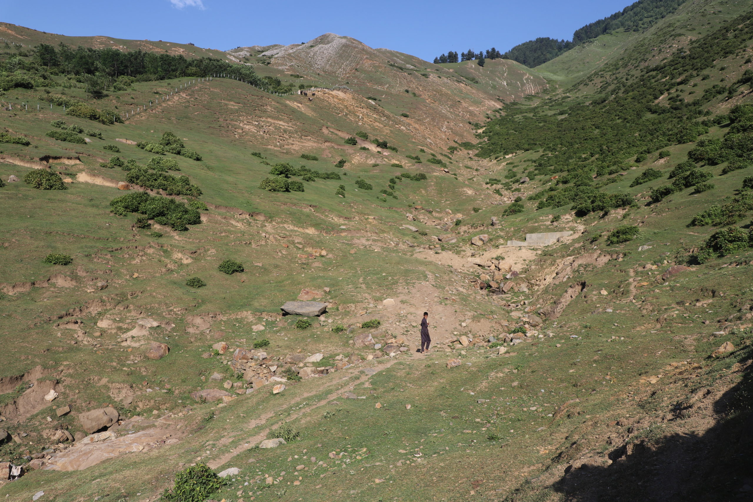 person standing in hilly pasture with dry vegetation
