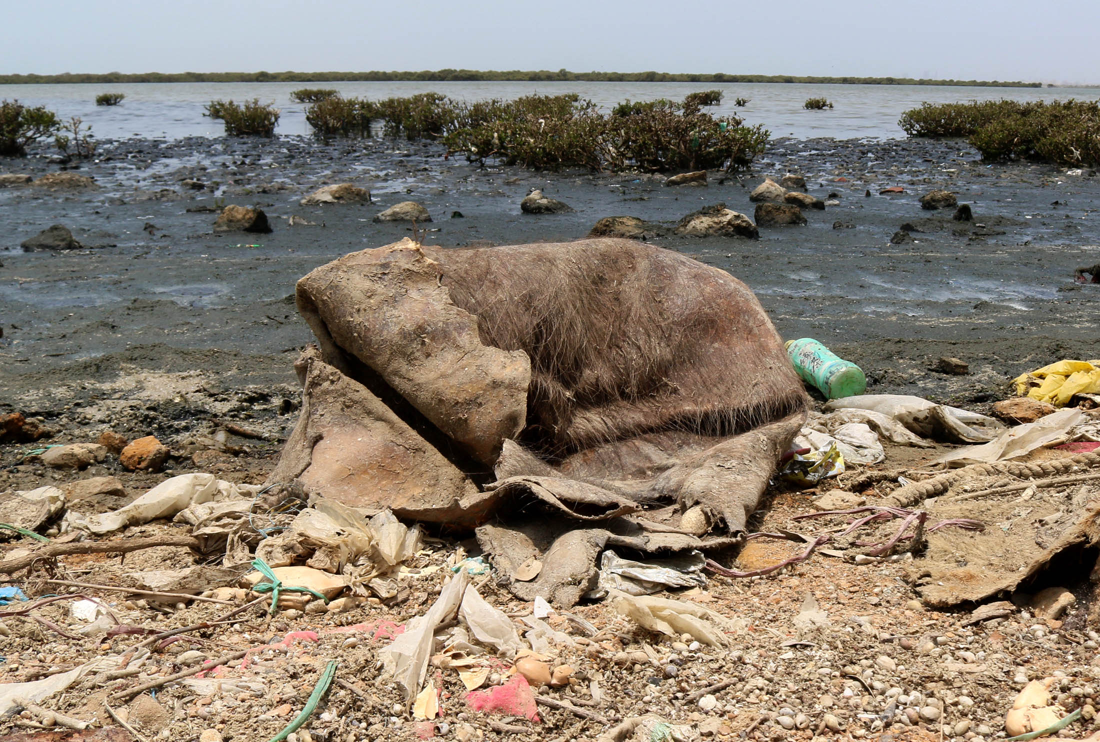 <p>Residents of Chashma Goth in Karachi face litter, uncollected garbage and foul odours from untreated wastewater (Image: Ali Ousat)</p>
