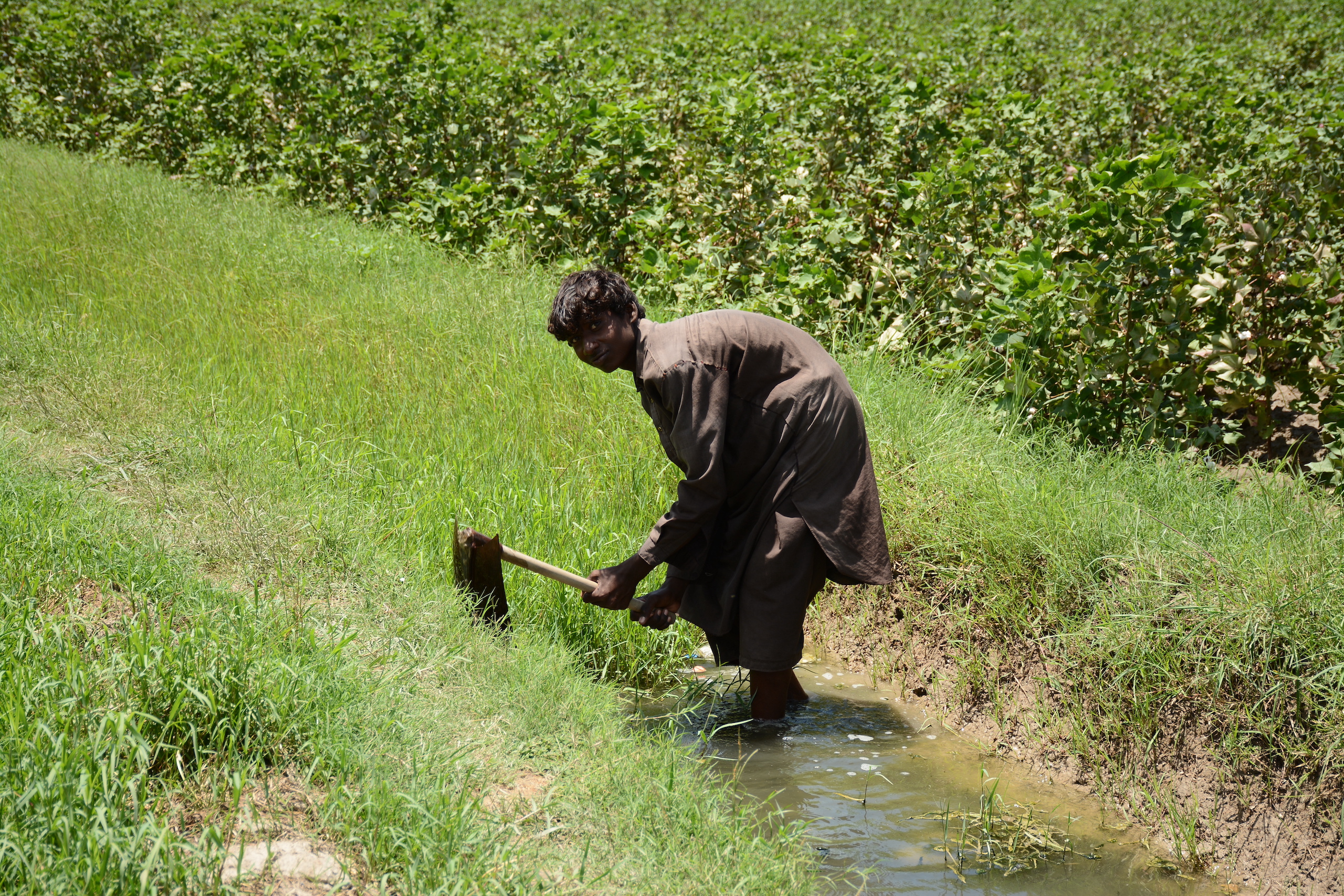 A farmer tries to drain waterlogged land at a cotton farm in Sindh’s Sanghar district in July 2022.
