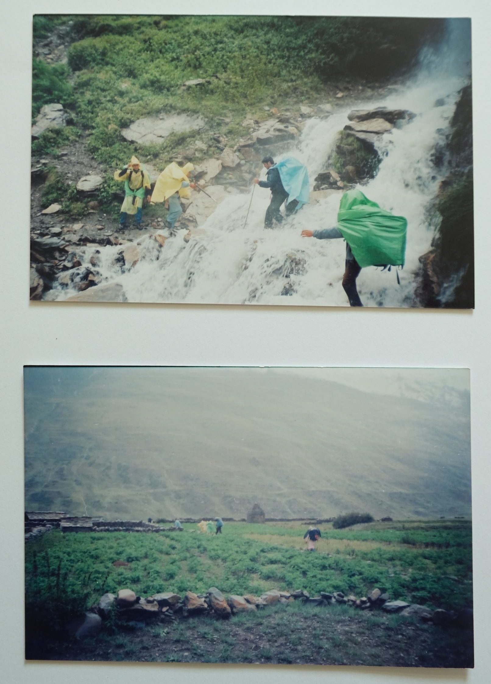 Photographs of people travelling through fields in the Johar Valley in June 2001 on the way to Milam