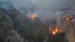 <p>مئی 2022 میں بلوچستان کے شہر شیرانی میں آتشزدگی (تصویر بشکریہ  جان خروٹی)</p>