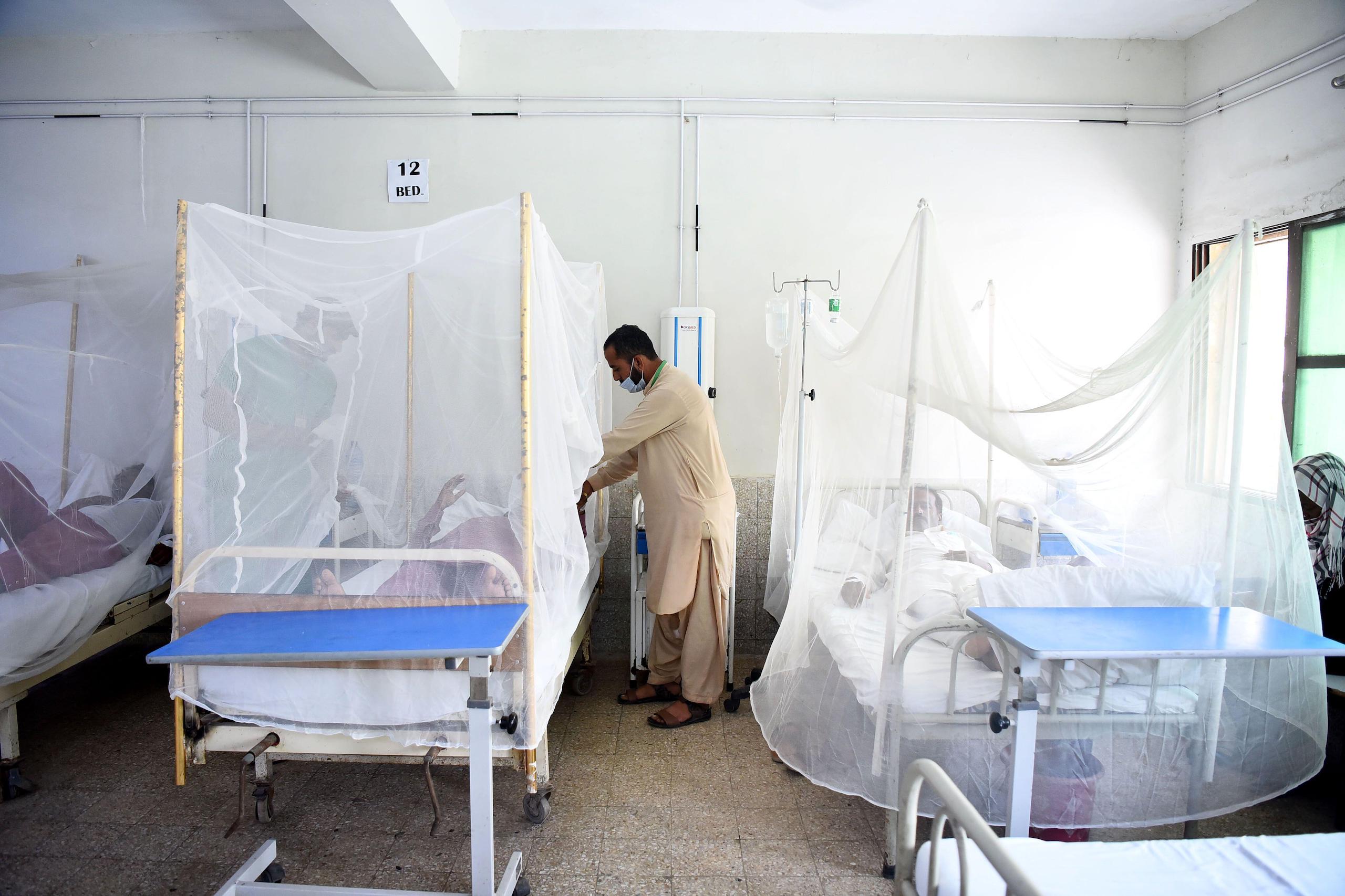 <p>People with dengue fever are treated under mosquito nets at a hospital in Pakistan’s capital Islamabad, on 15 September 2022 (Image: Ahmad Kamal / Alamy)</p>