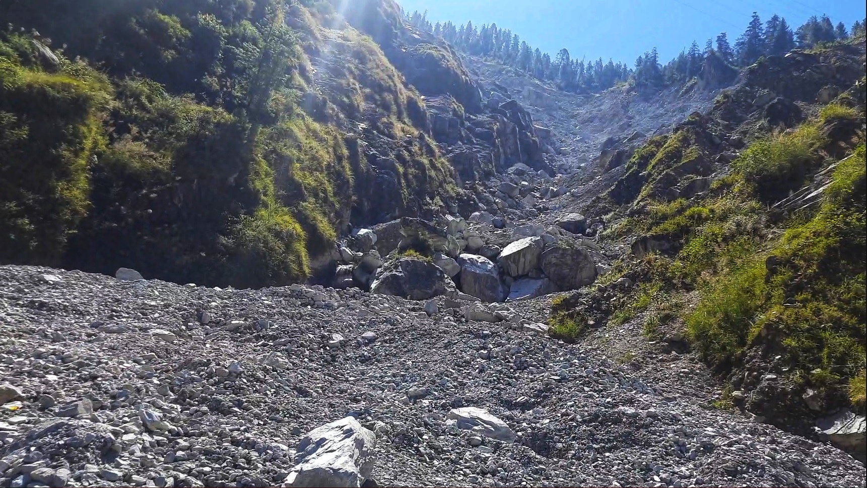 landslide down slope in forested area