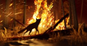 <p>A fox escapes a forest fire. The Intergovernmental Panel on Climate Change’s new report says that wildfires are increasing in frequency due to the combination of higher temperatures and drought. (Image: James Thew / Alamy)</p>