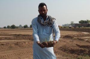 A man holds out some seedlings, in the background a muddy field