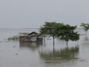 <p>A riverside village in Majuli in September 2013 that had been inundated by the Brahmaputra River (Image: Mitul Baruah)</p>