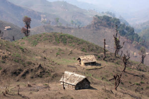 <p>नागालैंड में भारत-म्यांमार सीमा पर एक पहाड़ी जहां जंगल काट दिया गया है (फोटो: लूसी काल्डर / अलामी)</p>