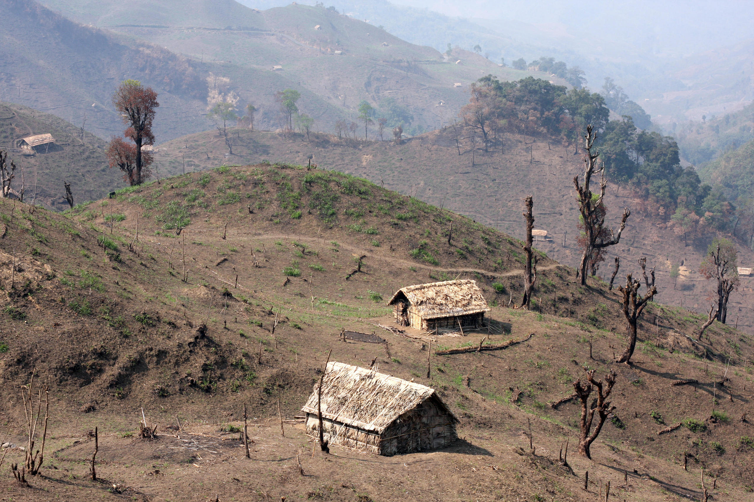 <p>A deforested hillside on the India-Myanmar border in Nagaland (Image: Lucy Calder / Alamy)</p>