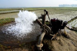 Irrigation by Deep tube well is being done on transplanted rice seedlings field in Jamalpur District, Bangladesh,