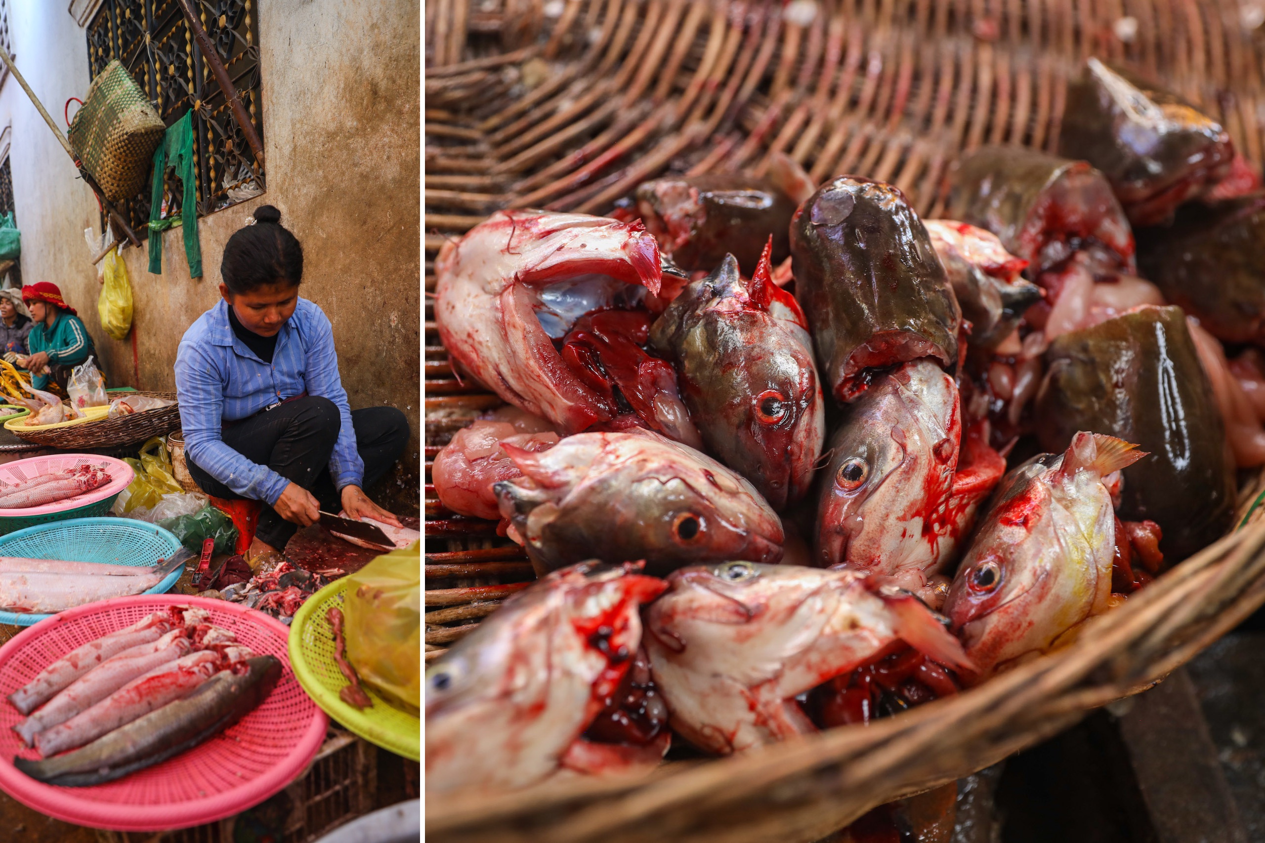 Wet markets in Siem Reap City_Tonle Sap Lake