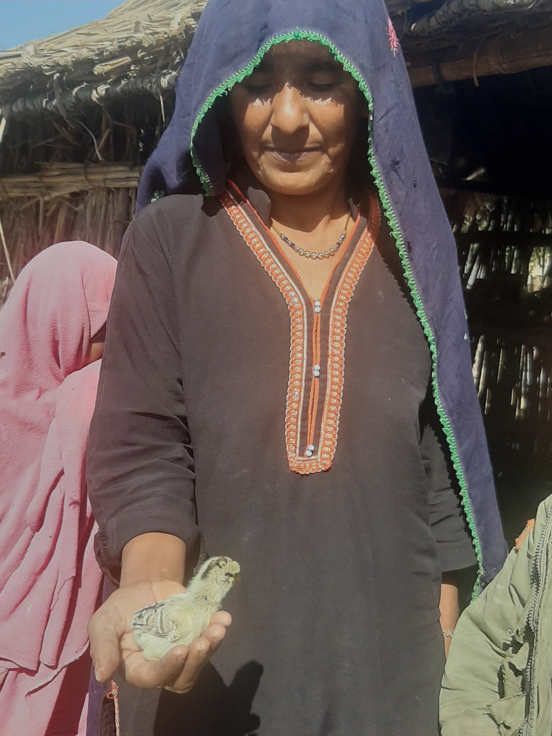 Panahi holds a chick, one of her few remaining sources of income after the 2022 floods destroyed her family’s home