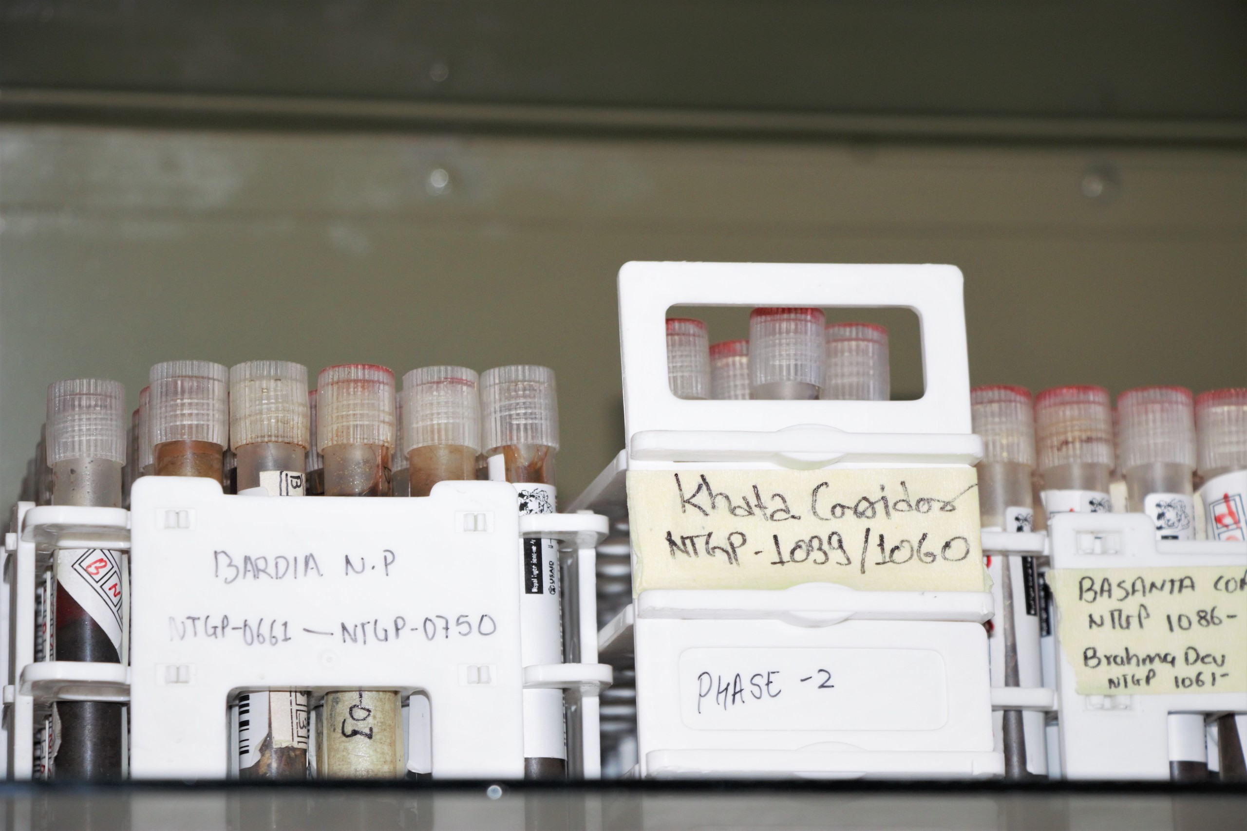 Tiger DNA sample in the wildlife forensics laboratory in Kathmandu