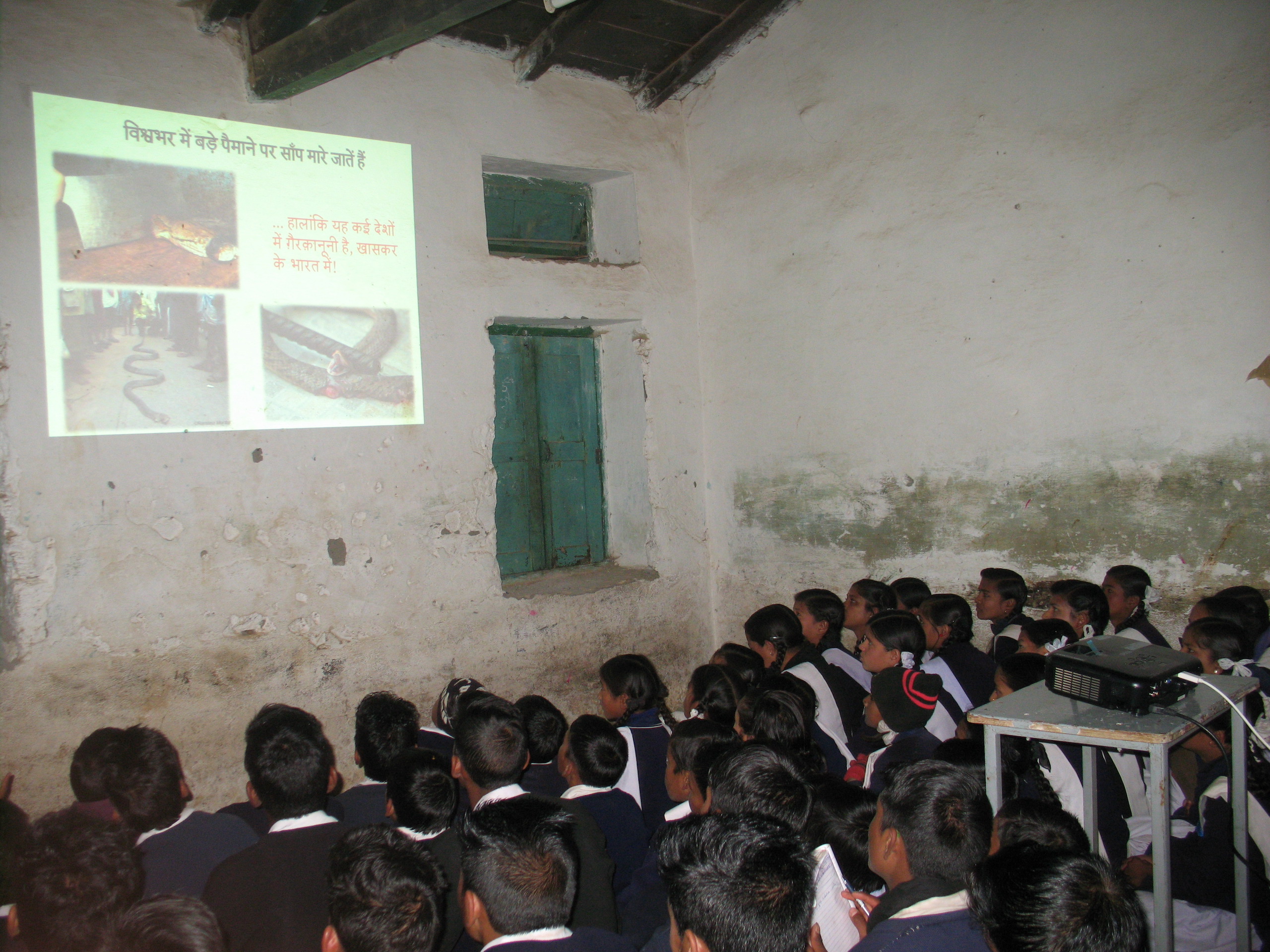 Classroom of school children in Kumaon, India, learning to identify different kinds of snakes