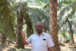 A palm oil farmer in front of his plantation