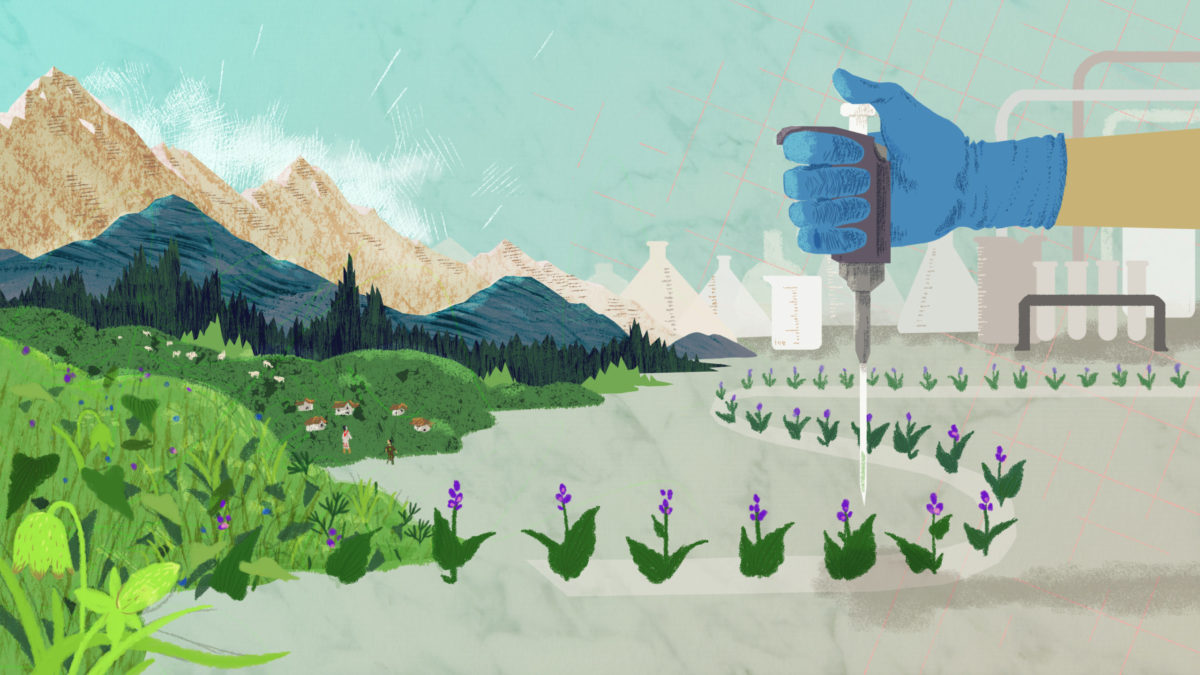 illustration showing line of plants going from mountains to pharmaceutical laboratory setting