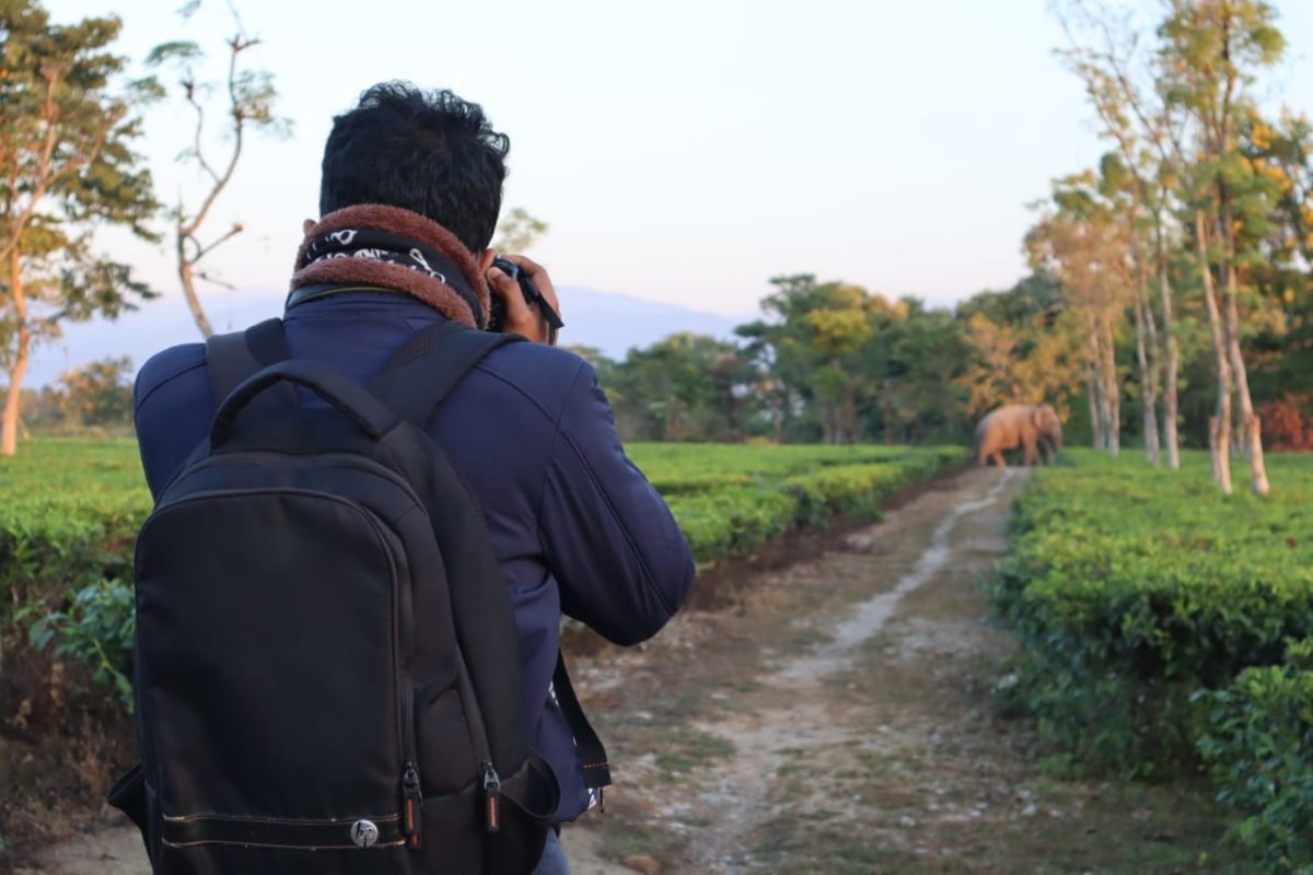 man photographing elephant