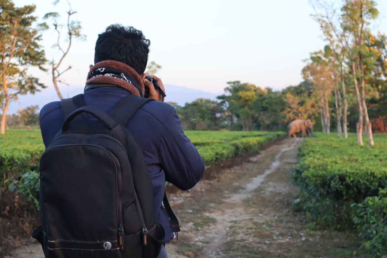 <p>Ritwik Biswas, a member of a volunteer group working to prevent human-elephant conflict on both sides of the Nepal-India border, photographs a wild elephant passing through a tea estate (Image courtesy of Ritwik Biswas)</p>
