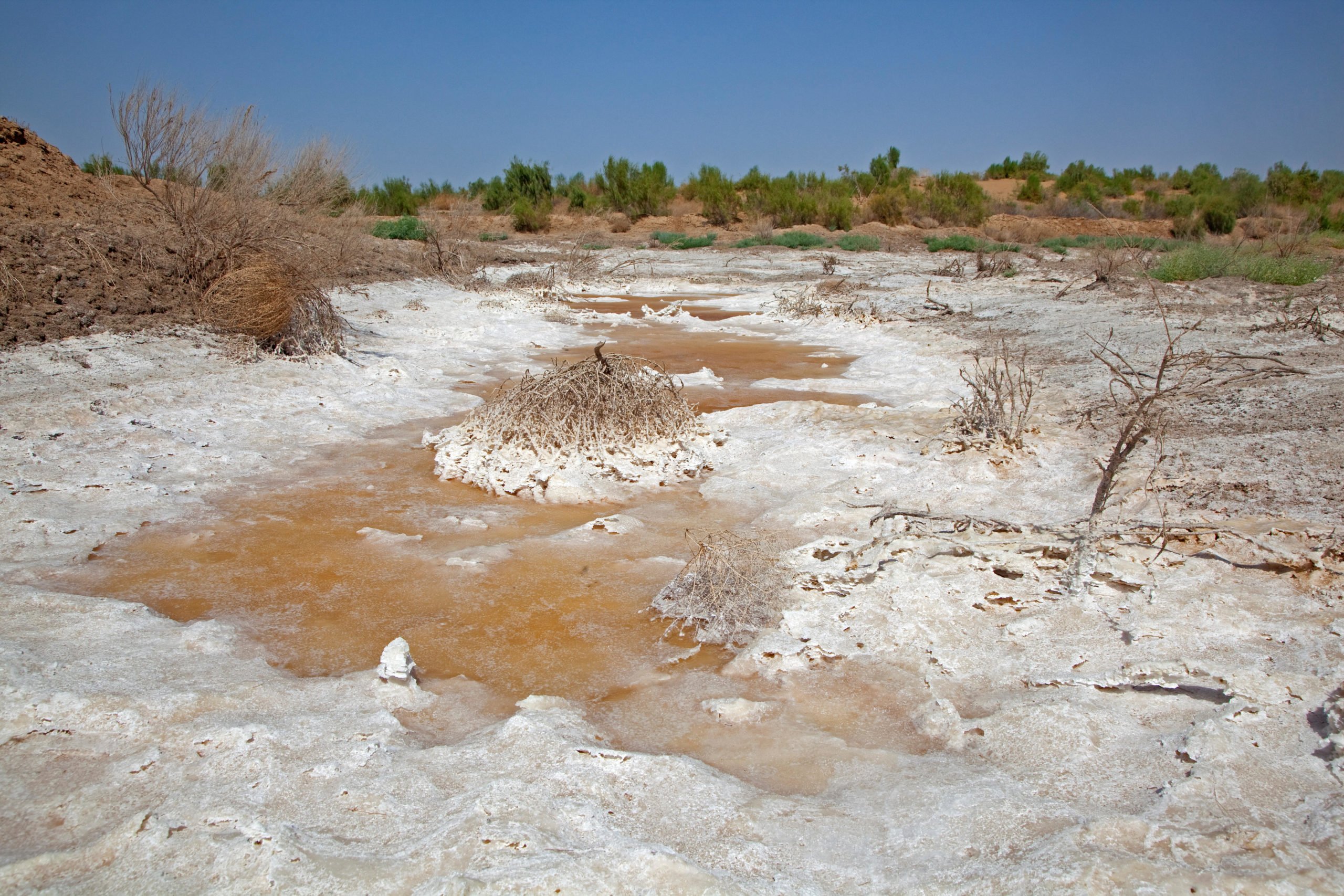 salt deposits on desert ground