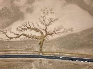 a "Tree in the Sky" pattern formed by the drought