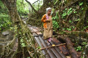 <p>A villager walking on the double decker living root bridge, in Nongriat village in Northeastern Indian state Meghalaya (Image: David Talukdar / Alamy)</p>