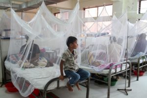 children under mosquito nets in hospital beds