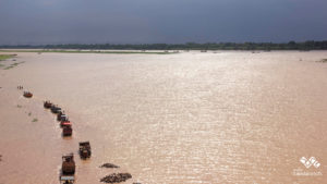 <p>Tractors carry away sand extracted from the River Sone in central India (Image: India Sand Watch)</p>