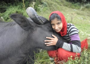 Young girl hugs a buffalo