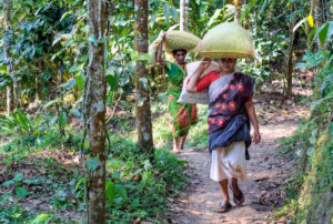 Two woman carry bags on their heads in a forest